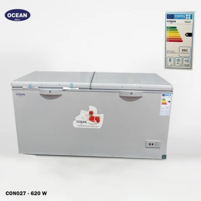 Congélateur Armoire Professionnel OCEAN – Double Porte, Grande Capacité & Performance Énergétique